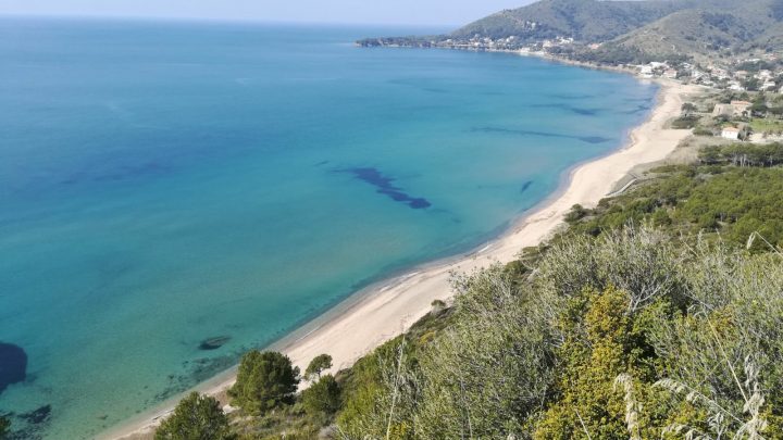 Coronavirus, nuovi contagi nel Salernitano