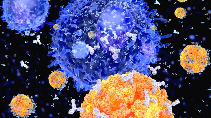 Coronavirus, ecco il nuovo test rapido per individuare le varianti
