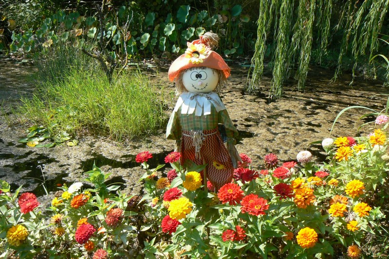 4 ottobre, festa della natura