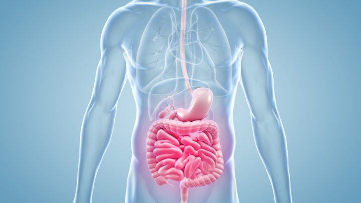 Malattie infiammatorie intestinali, ecco come prevenire più della metà dei casi
