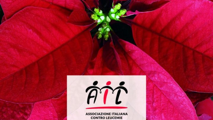 Ail, una stella per riaccendere la speranza di chi soffre