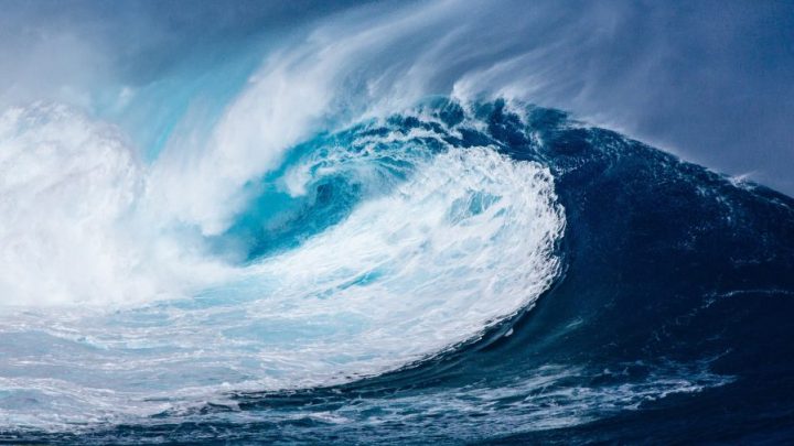 Proteggere gli Oceani per proteggere il futuro