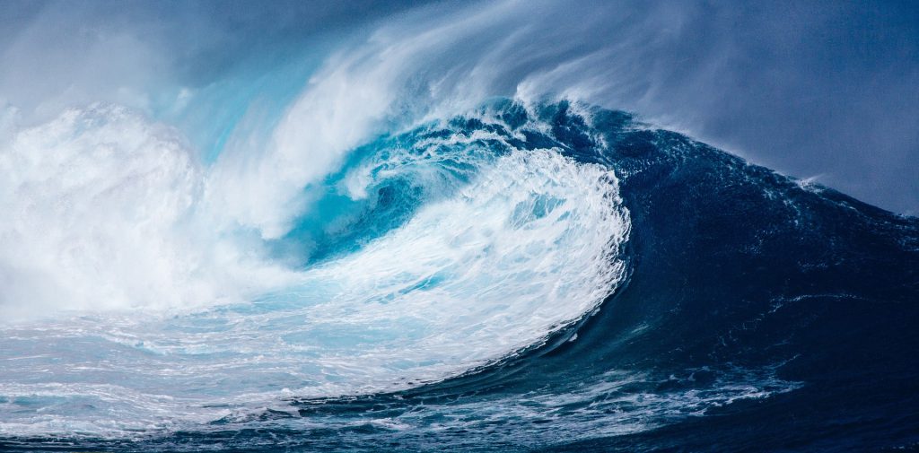 Proteggere gli Oceani per proteggere il futuro
