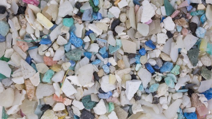 Una ricerca rivela: microplastiche nella placenta umana