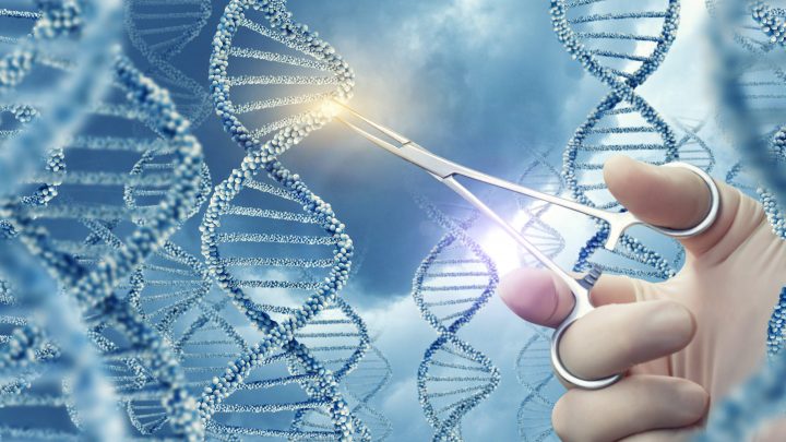 Forbice molecolare per curare la talassemia