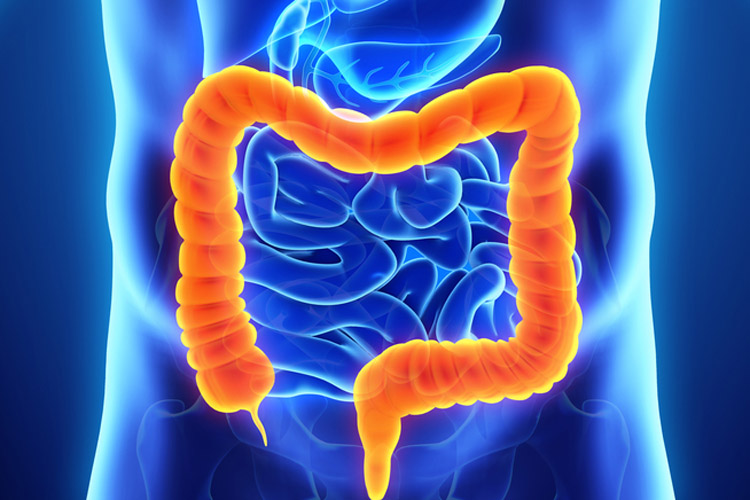 Aifa, ok a nuove immunoterapie contro i tumori gastrointestinali