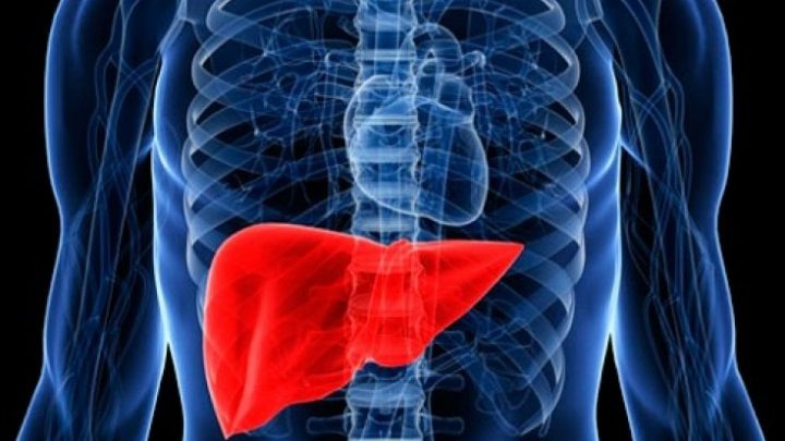 Scoperta proteina che combatte il tumore al fegato