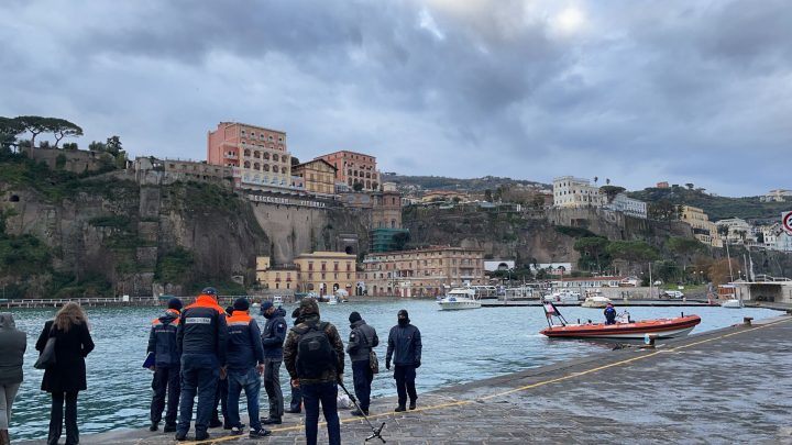 Purtroppo è morta la balena entrata ieri nel porto di Sorrento