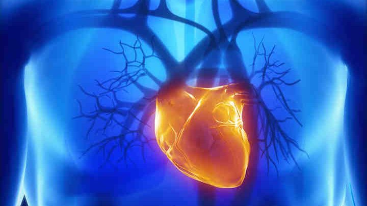 Stress e problemi cardiovascolari