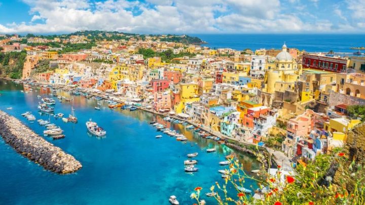 Procida, salvato airone ferito