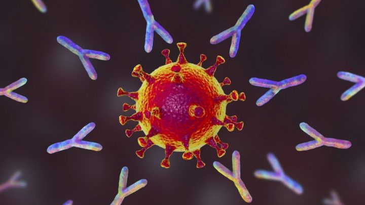 Aifa, ok agli anticorpi monoclonali