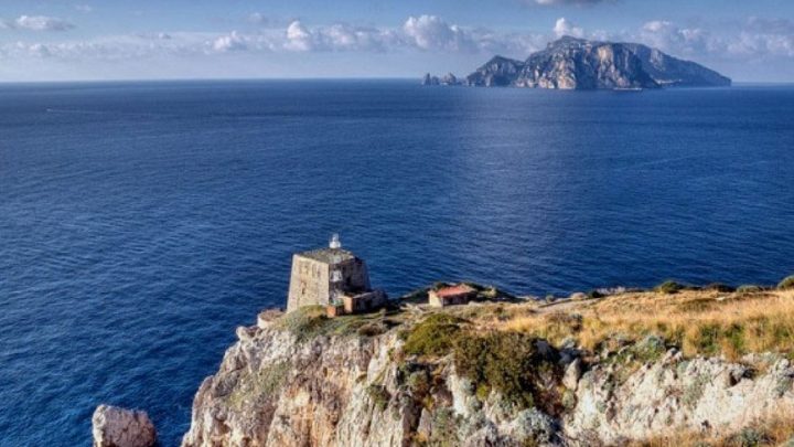 Punta Campanella, nelle scuole per promuovere il “pesce povero” e la risorsa mare