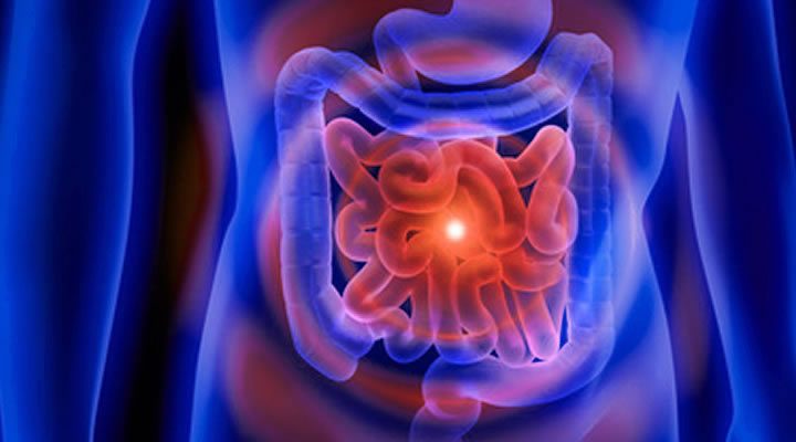 Oggi 19 maggio giornata mondiale delle malattie infiammatorie croniche intestinale