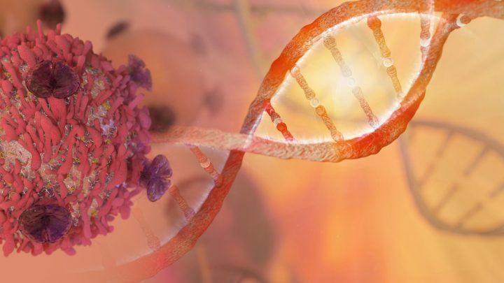 L’immunoterapia nella lotta al cancro