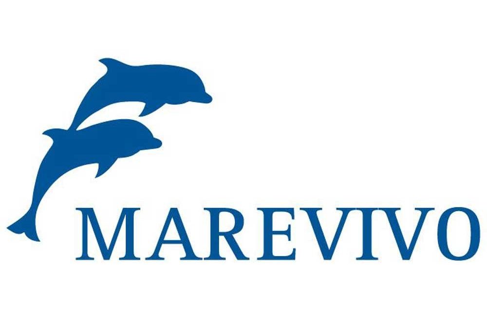 MareVivo, fuori le Grandi Navi da Venezia