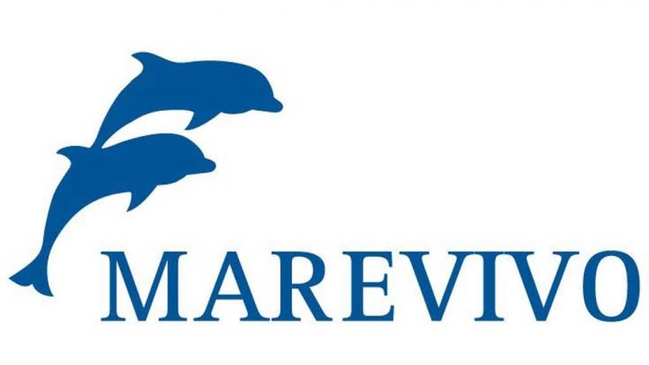 MareVivo, fuori le Grandi Navi da Venezia