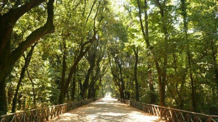 Real Bosco di Capodimonte ed Asl Na1, continuano i percorsi di salute e benessere