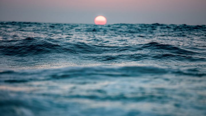 Marevivo, il mare è caldo: nel mediterraneo molte specie a rischio