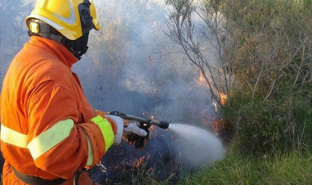 Roghi boschivi tra Pozzuoli e Caserta