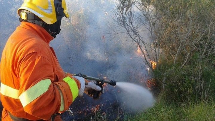 Cilento, bruciati 20 ettari di macchia mediterranea