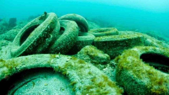 Marsala, raccolti in mare 2.500 kg di Pneumatici Fuori Uso grazie a Marevivo ed EcoTyre