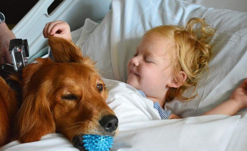 Giornata mondiale del cane, l’importanza della Pet Therapy