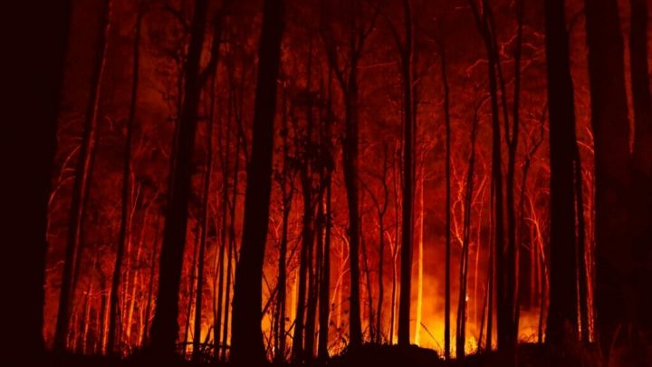 Campania al 5 posto per incendi boschivi, al via piano di contrasto 2023