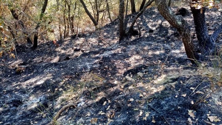 Incendi boschivi, la Campania è prima: primissima la provincia di Salerno