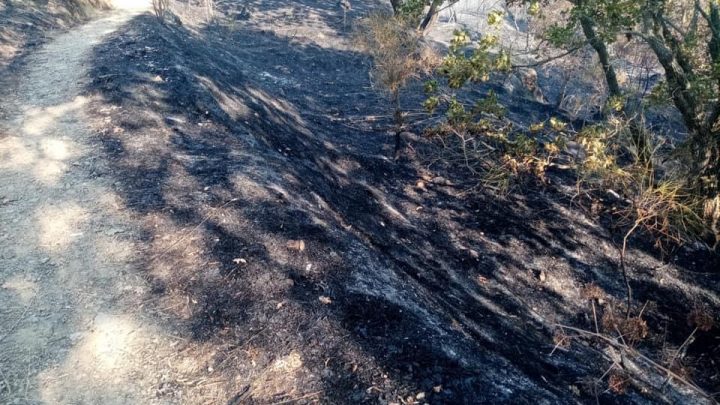 Bruciati 3 ettari di bosco nel Parco del Partenio