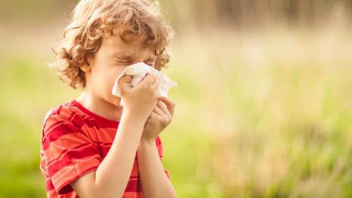 Allergie di stagione, il consiglio del farmacista su farmaci Otc e metodi non farmacologici