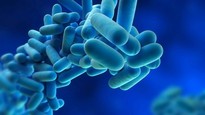 Salerno, torna l’incubo Legionella