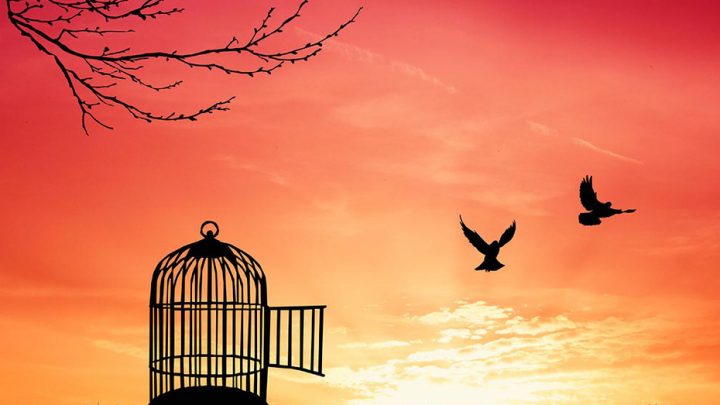 Abbiate sempre sete di libertà…di verità…siate folli