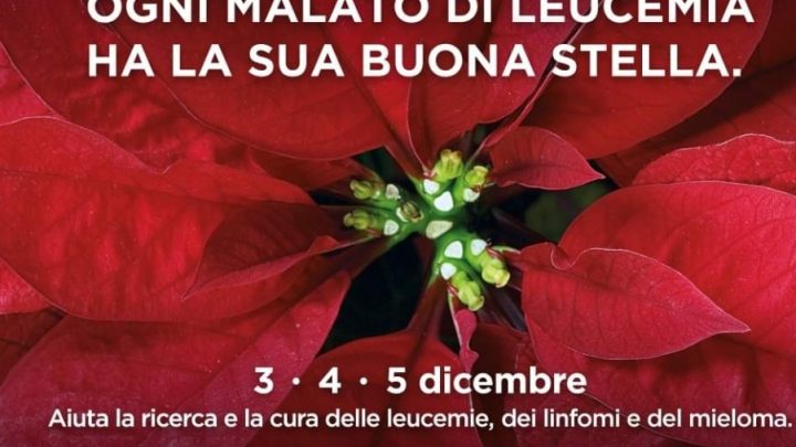Salerno, una stella per combattere le leucemie