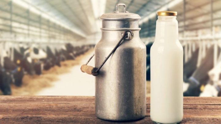 Allergia al latte vaccino, l’efficacia dell’immunoterapia