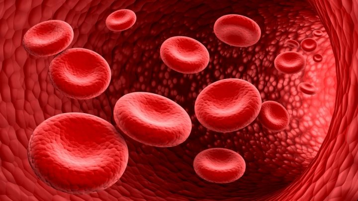Talassemia, l’importanza del trattamento per la qualità di vita dei pazienti