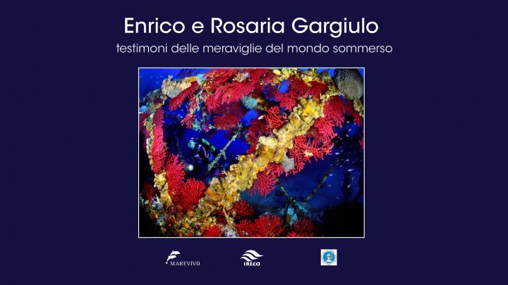 Testimoni delle Meraviglie del Mondo Sommerso