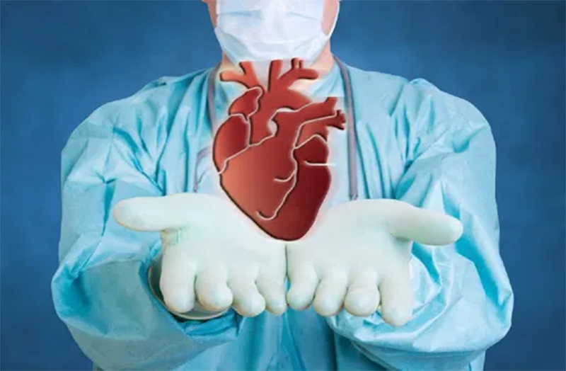 Trapianti d’organo, cresce in Italia il numero dei donatori