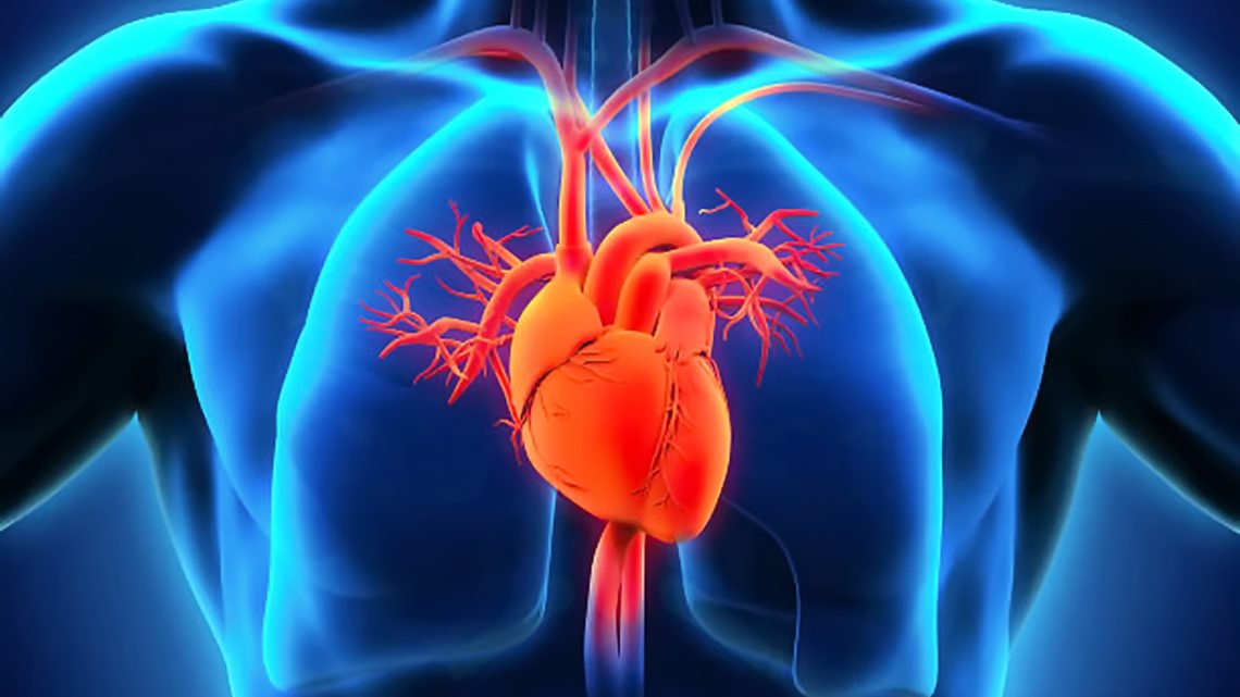 Covid-19, ecco come gestire le sequele cardiovascolari