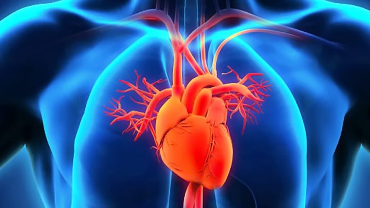 Covid-19, ecco come gestire le sequele cardiovascolari