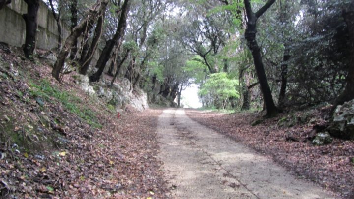 Oasi di San Silvestro, il “Magico Bosco” sottratto all’illegalità