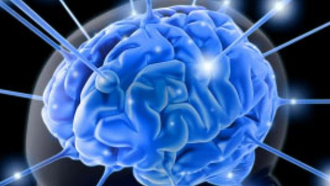 Ultima scoperta dei ricercatori, grasso e cervello si “parlerebbero” attraverso neuroni sensoriali
