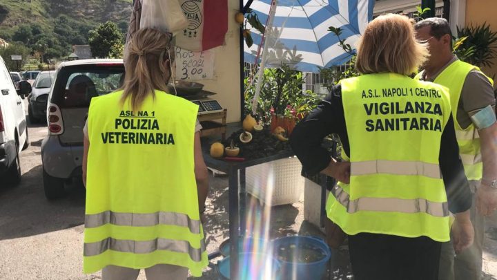 Asl Napoli 1, weekend all’insegna della prevenzione a garanzia della sicurezza alimentare