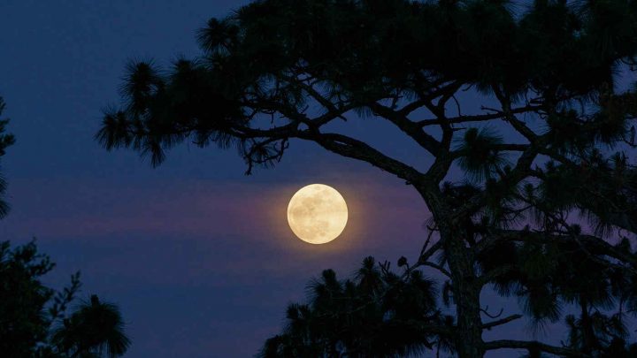 Ecco la “Superluna”  che concederà anche repliche
