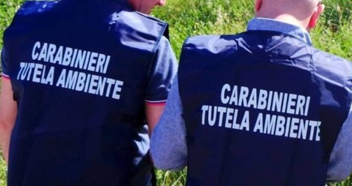 Carabinieri, ancora interventi per contrastare reati ambientali