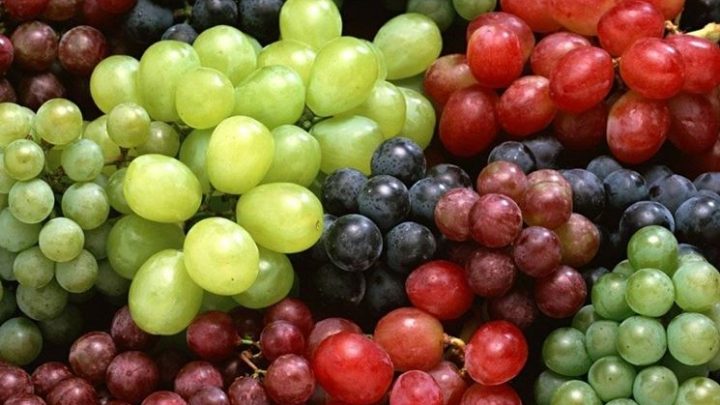 Governo, sos parassita uva e patate