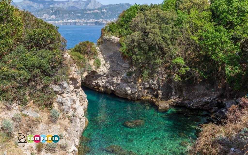 Sorrento, eroico intervento della Capitaneria salva un giovane a mare