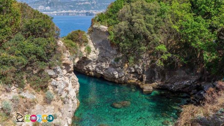 Sorrento, al voto ma con giudizio