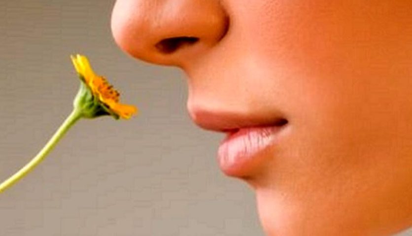 Le fragranze per ambienti permettono di vivere meglio: ecco tutti i benefici degli aromi