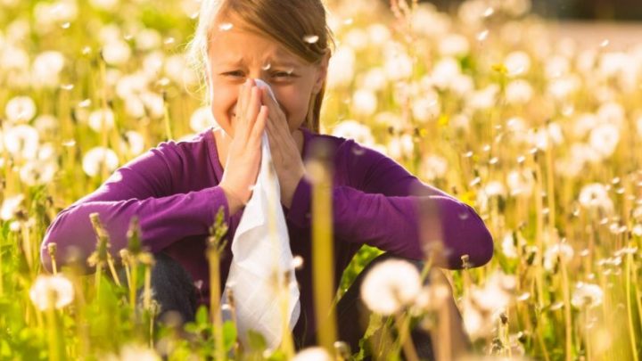 Allergie, la stagione si allunga di un mese e mezzo per cambiamento climatico