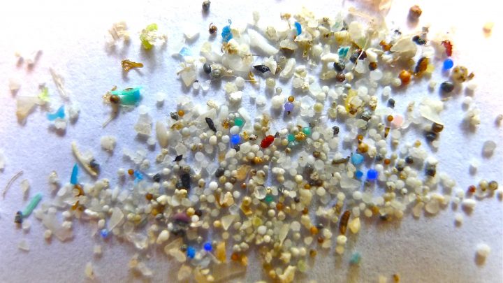 Rintracciate particelle plastiche nel liquido seminale di uomini sani in una zona della Campania